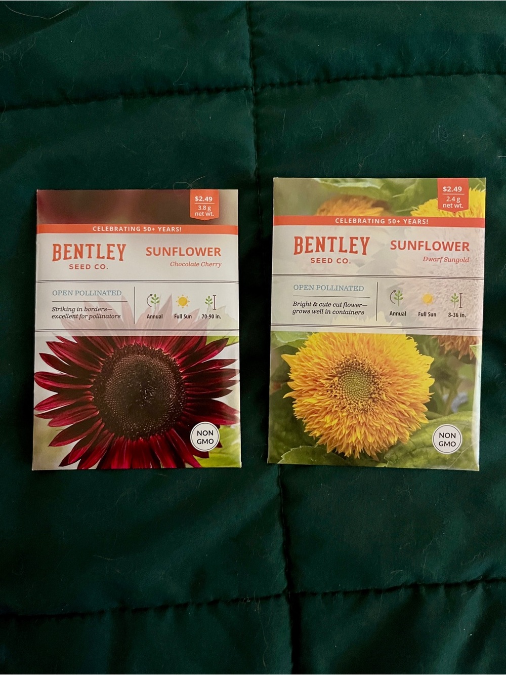 🍒 5/$25 🍒 Sunflower Seeds | Chocolate Cherry & Dwarf Sungold Sunflowers